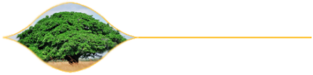 Dr. Dettelbacher Logo